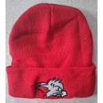 Beanie  Wildcats